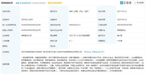 非融資性擔保集團特批字號轉(zhuǎn)讓及計算機軟硬件的技術(shù)開發(fā)業(yè)務